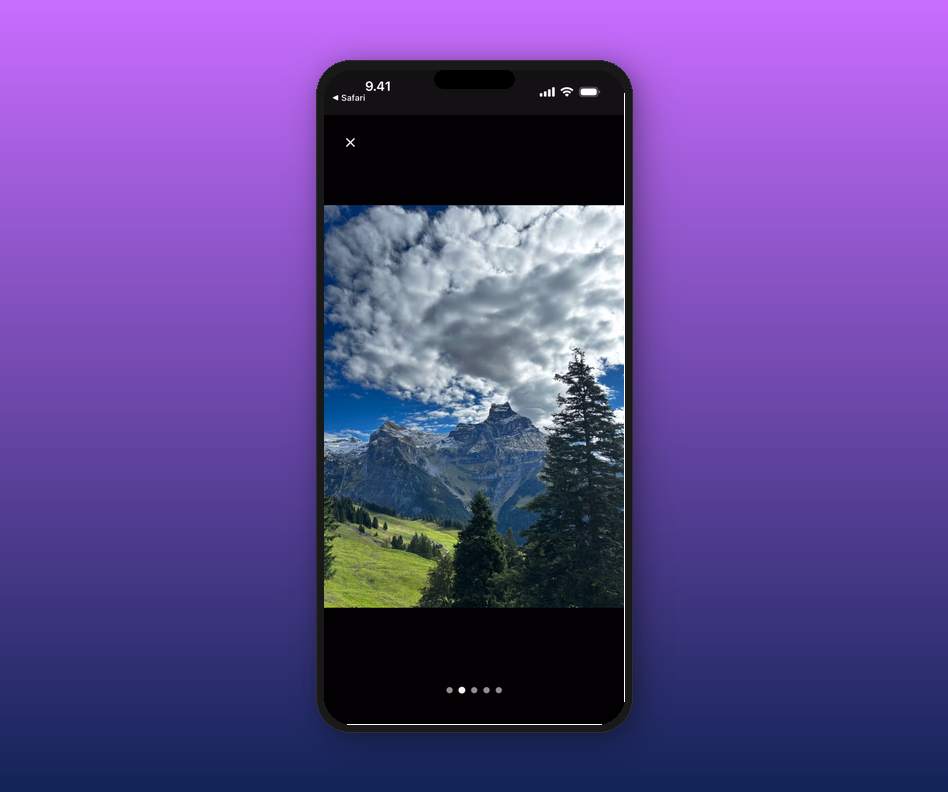 Full-screen photo viewer